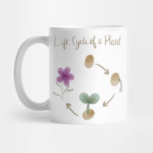 Life Cycle Of A Plant Mug